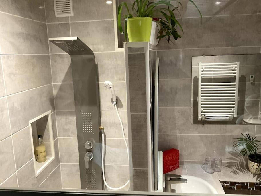 Saint-Léonard-de-NoblatLe Passage Du Faubourg, Agreable T3 En Duplex De 120M2アパートメント エクステリア 写真
